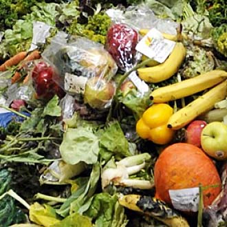 утилизация отходов - пищевые остатки